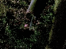 img/26022010(002).jpg
