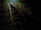 img/26022010(006).jpg
