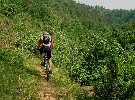 img/mountain-bike--biker-back.jpg