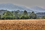 img/t_wallpapers3-grano_hdr.jpg