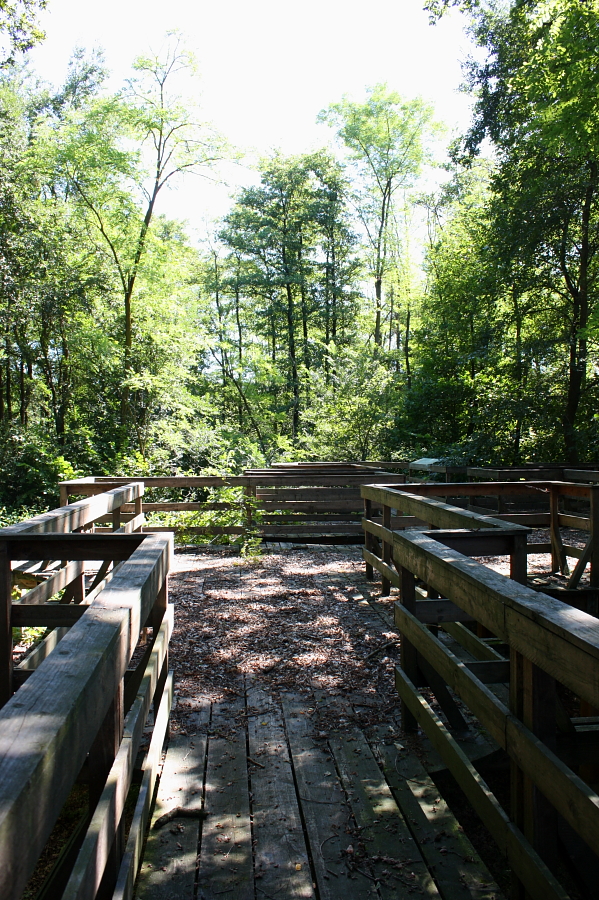 ecco le terrazze nel bosco