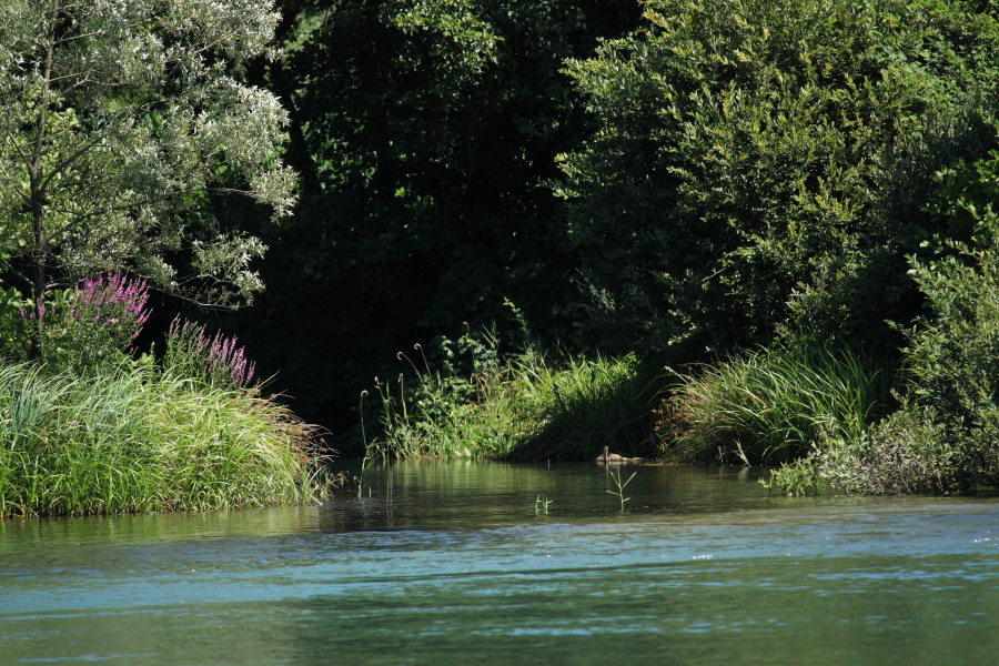 colori dell'acqua