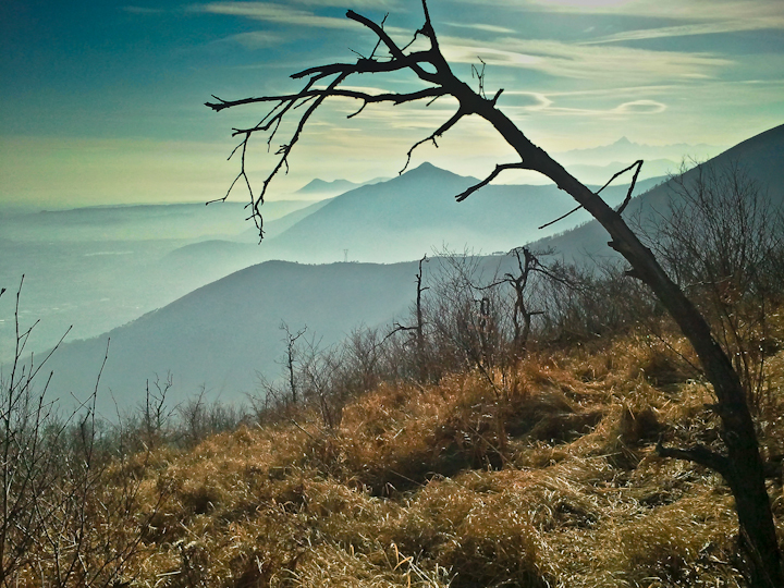 Dai netti e spogli colori dell'inverno in arrivo lo sguardo si spinge sotto il sole basso fino ai monti in lontananza; dapprima il Musinè poi, proprio al fondo, svetta sereno il Monviso