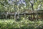 img/area_umida_ceronda_img_8214_5_6_fused.jpg