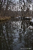 img/area_umida_inverno_v-8.jpg