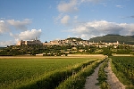 img/t_assisi.jpg