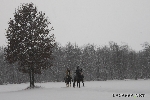 img/ceronda_neve-11.jpg