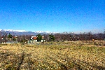 img/mattodera-04.jpg
