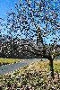 img/mattodera-10.jpg