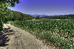 img/strade_del_basso_11.jpg