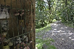 img/strade_del_basso_13.jpg