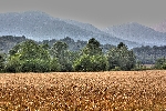 img/wallpapers3-grano_hdr.jpg