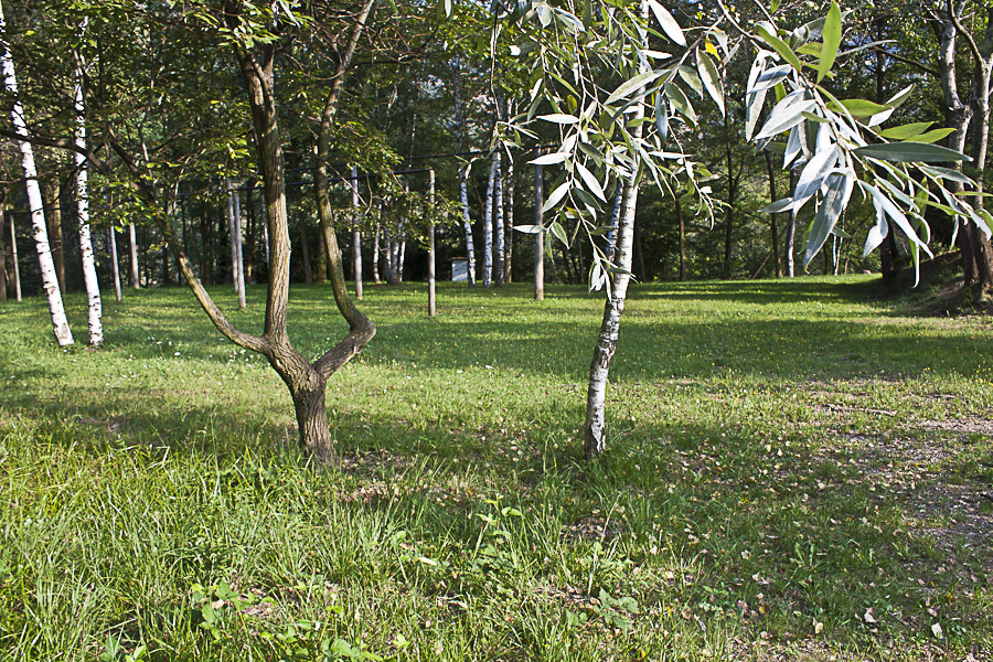 Area Picnic<br />